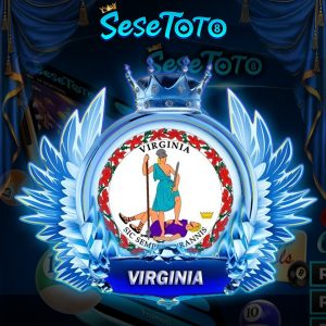This image has an empty alt attribute; its file name is VIRGINIA-300x300.jpg